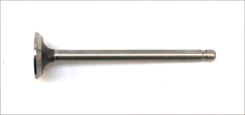 261582 VALVE, INTAKE Briggs & Stratton Engine Parts (BS-261582)