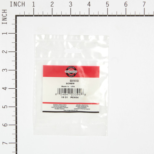 691619 SCREW (BS-691619)