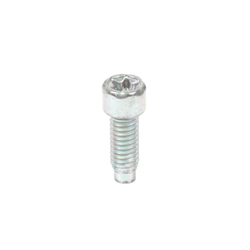BRIGGS SCREW 698941 Briggs & Stratton Engine Parts (BS-698941)