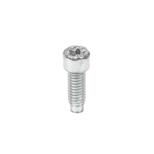 BRIGGS SCREW 698941 Briggs & Stratton Engine Parts (BS-698941)