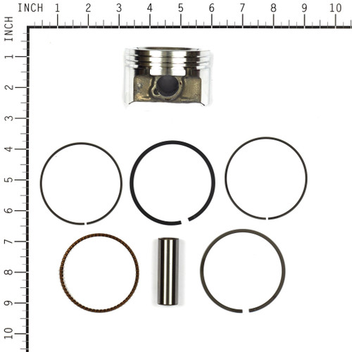 Piston Assembly 843951 (BS-843951)