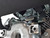 386777-SCAG-TIGERCUB-R2