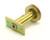 ADAPTER-MTD-PL