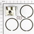 498586 PISTON ASSY-0 Briggs & Stratton Engine Parts (BS-498586)