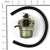 CARBURETOR ; REPLACES 794653 (BS-593432)