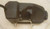 Fuel Tank for OHV model 21 vertical Briggs & Stratton Engine Parts (BS-792168)