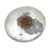 HOM-30818