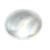 HOM-65482