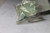 780116MA SCREW,1/4-20X1 ELEVAT Murray Lawnmower Parts (MU-780116MA)