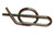 SC-0406901