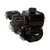 Briggs (106232-0079)