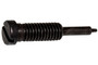 WLB-1021981