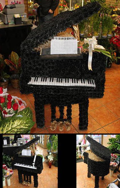 The Piano-FNPIA-01