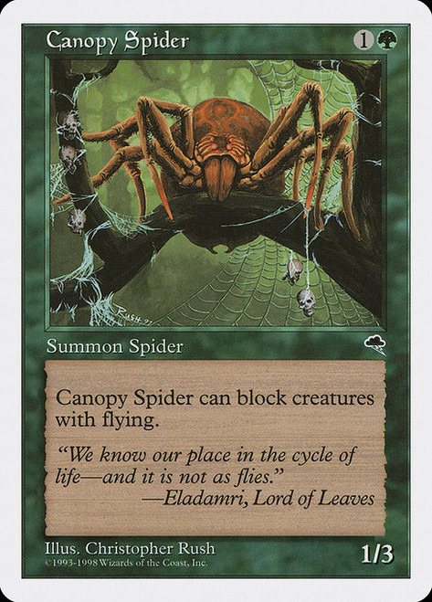 Canopy Spider (ATH)