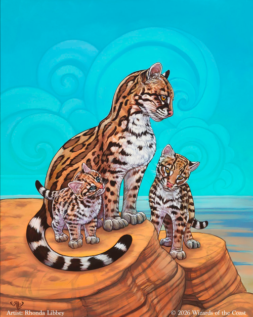 MTG Modern RCQ High Roller Tournament "Ocelot"