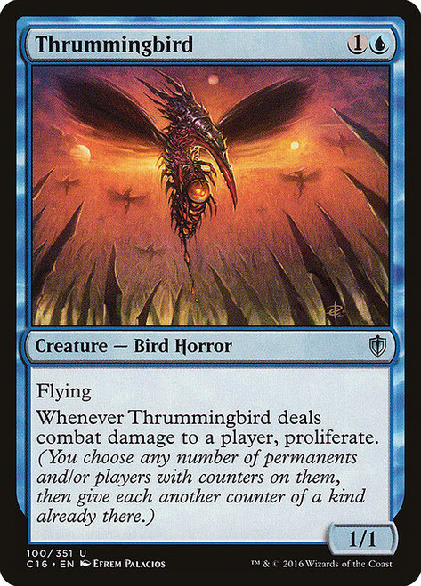 Thrummingbird (C16)
