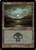 Swamp (CMM) (#444) Swamp (CMM) (#444)