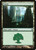 Forest (DDJ)