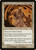 Obsidian Acolyte (INV)