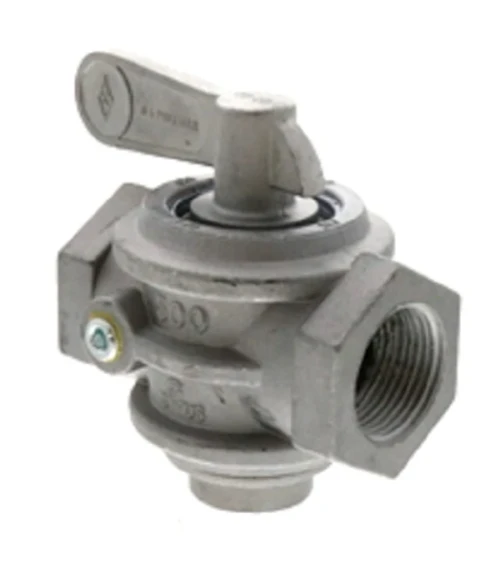 Raypak 007189F Manual Gas Valve A1-Kit
