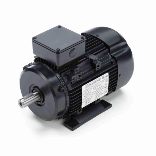 Marathon R319A 2 HP Motor 230/460V 3-Phase 1800 RPM TEFC