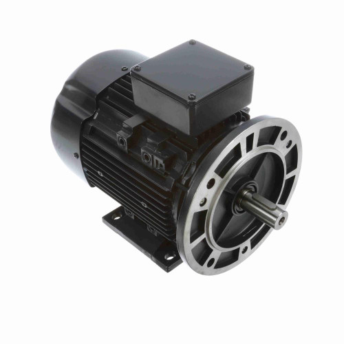Marathon R394A IEC Motor 1 HP 3-Phase 1200 RPM 230/460V