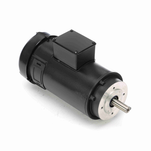 Leeson 108369.00 Metric Motor