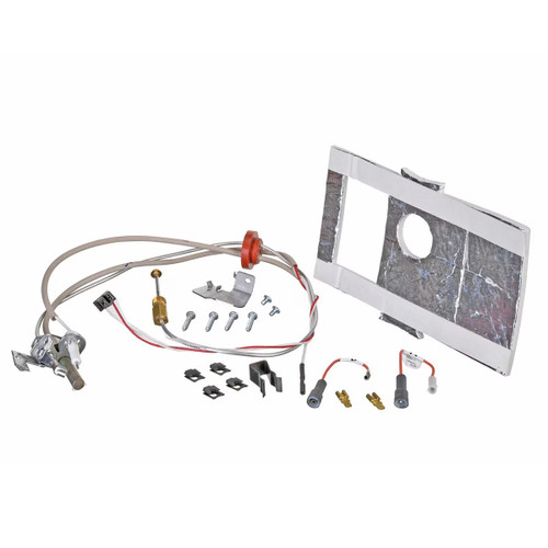 Rheem-Ruud SP21058 Pilot Assembly Replacement Kit