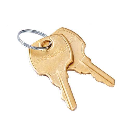 Resideo 191990A Replacement Keys for TG509-TG512 Guards