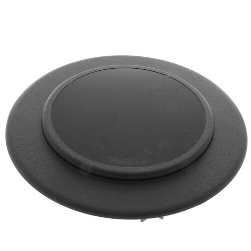 Rheem-Ruud 91-101123-00 Blank Center Cap Nameplate