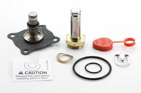 ASCO 302350 Rebuild Kit