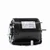 Century ARB2034L5 Blower Motor 1/3 HP 115/208-230V 1725 RPM