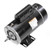 Century BN61 Pool/Spa Pump Motor 2 HP 230V 3450/1725 RPM