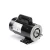 Century BN61 Pool/Spa Pump Motor 2 HP 230V 3450/1725 RPM