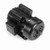 Century C317V1 Grain Stirring Motor 1.5 HP 230V