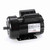 Century C317V1 Grain Stirring Motor 1.5 HP 230V
