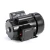 Century C317V1 Grain Stirring Motor 1.5 HP 230V