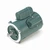 Leeson E100019.00 General Purpose Motor 0.5 HP 115/230V