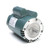 Leeson E113336.00 1.5 HP General Purpose Motor 115/230V
