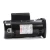 Century SQS1102R Pool Pump Motor 1 HP 230V 2-Speed 48Y