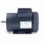Leeson 121681.00 General Purpose Motor 1.5 HP 115/230V
