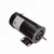 Century BN40SS Pool Pump Motor 2 HP 115/230V 3450 RPM
