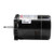 Century T1072 Jet Pump Motor 3/4 HP 115/230V