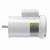 Leeson 114319.00 Washguard Motor 1.5 HP 1725 RPM 115/230V