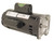 Regal Rexnord B1000 Pool Pump Motor 5 HP 208-230V