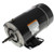Regal Rexnord Century BN36 Pool Pump Motor 0.75 HP 115V