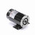 Regal Rexnord Century BN36 Pool Pump Motor 0.75 HP 115V