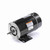 Regal Rexnord Century BN36 Pool Pump Motor 0.75 HP 115V