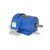 TECO-Westinghouse GP0024 General Purpose Motor 2 HP 3-Phase