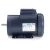Leeson 114995.00 2 HP Motor 115/230V 3450 RPM TEFC